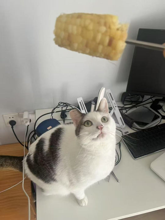 Soft Outline Pet Shaped Pillow