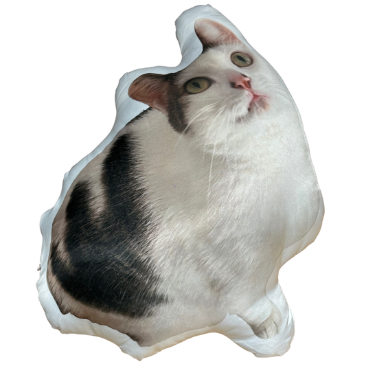 Soft Outline Pet Shaped Pillow
