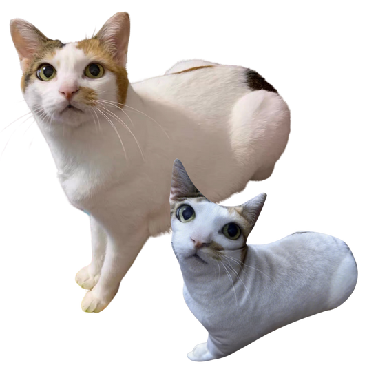 Edge-to-Edge Pet Pillow