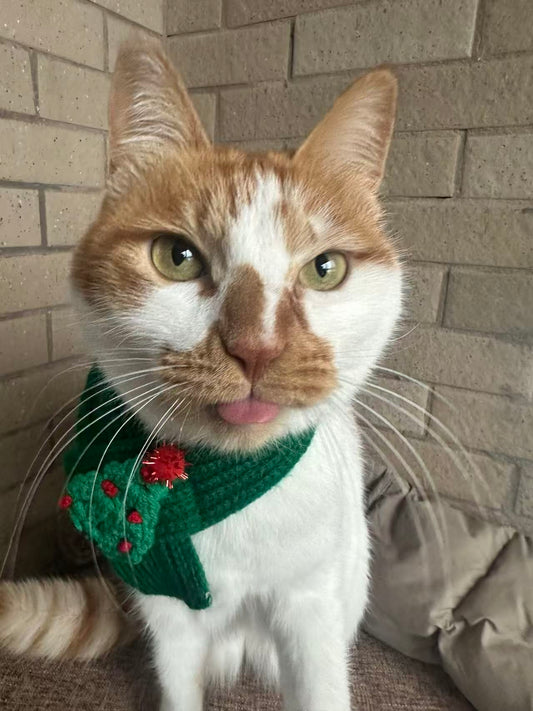 Soft Outline Pet Face Pillow