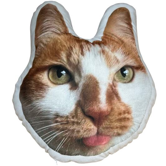 Soft Outline Pet Face Pillow